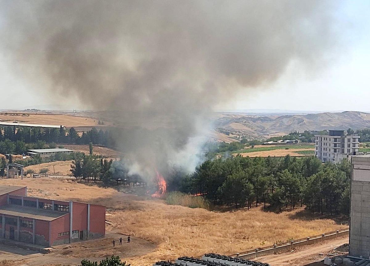 Adıyaman\'da çamlık alanda çıkan yangın kontrol altına alındı