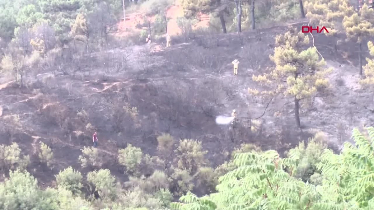 Sultangazi Kent Ormanı\'nda Çıkan Yangında Sabotaj İddiası