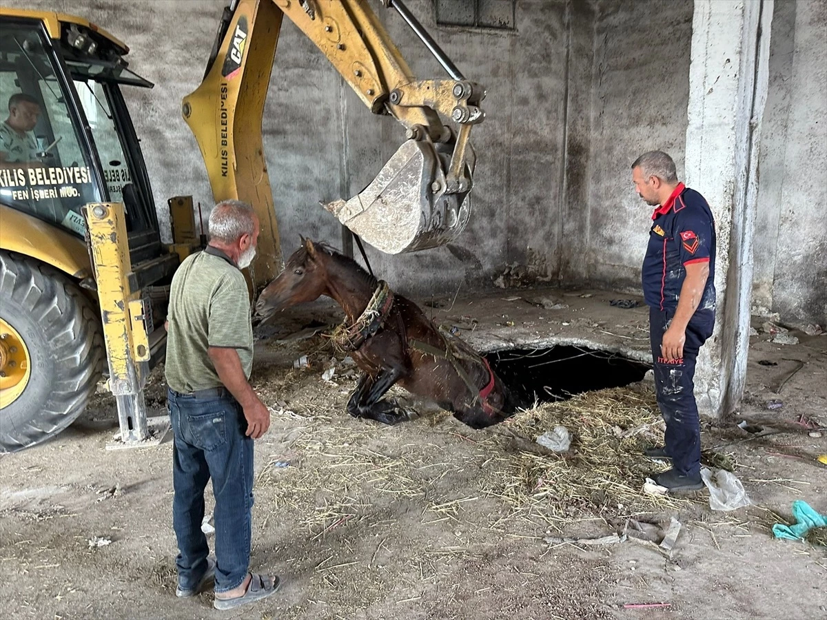 Kilis\'te Depo Kuyusuna Düşen At İtfaiye Ekipleri Tarafından Kurtarıldı