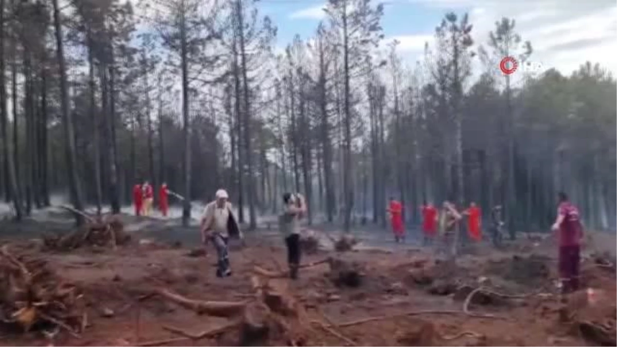 Kütahya\'da Domaniç ilçesinde çıkan orman yangını kontrol altına alındı