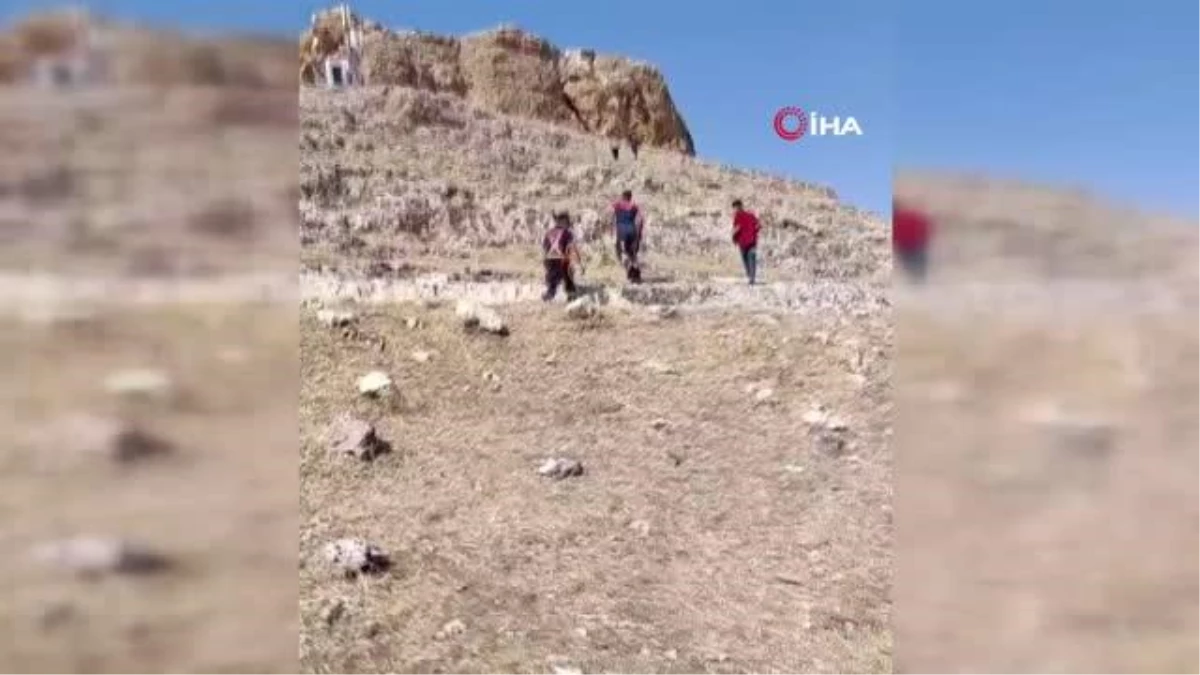 Mardin\'de mahsur kalan koyunlar kurtarıldı