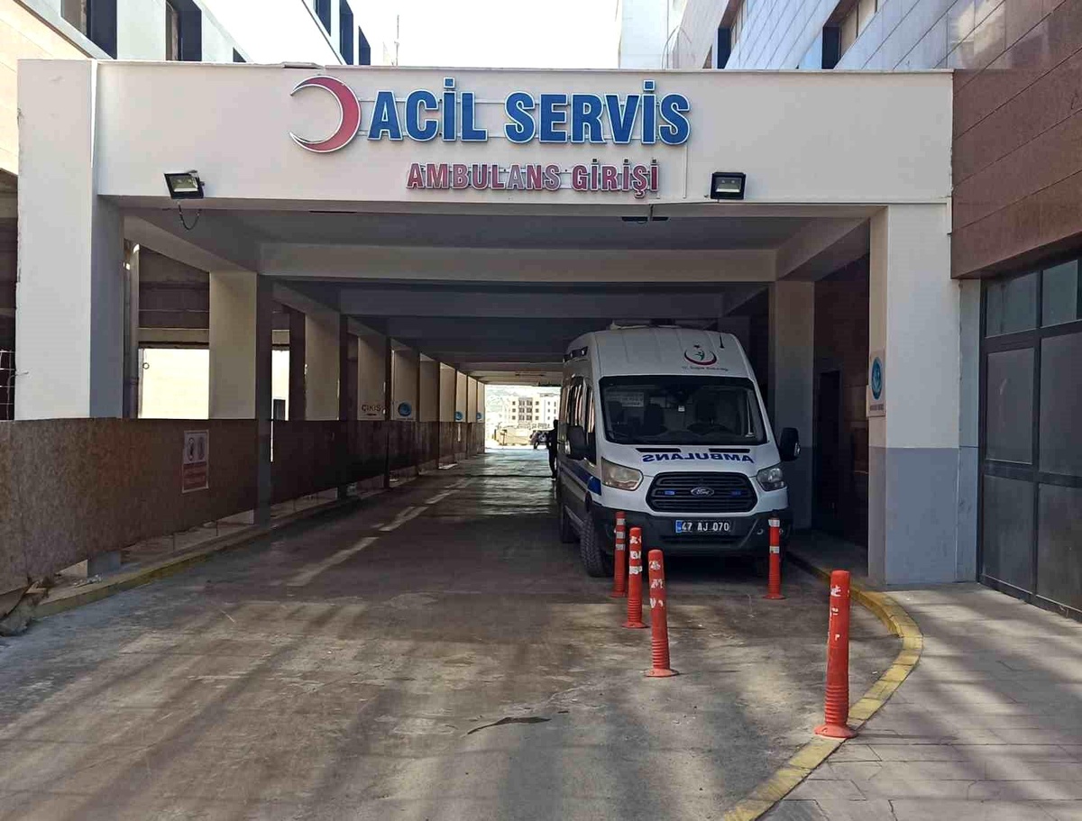 Mardin\'de trafik kazasında 1 ölü, 9 yaralı