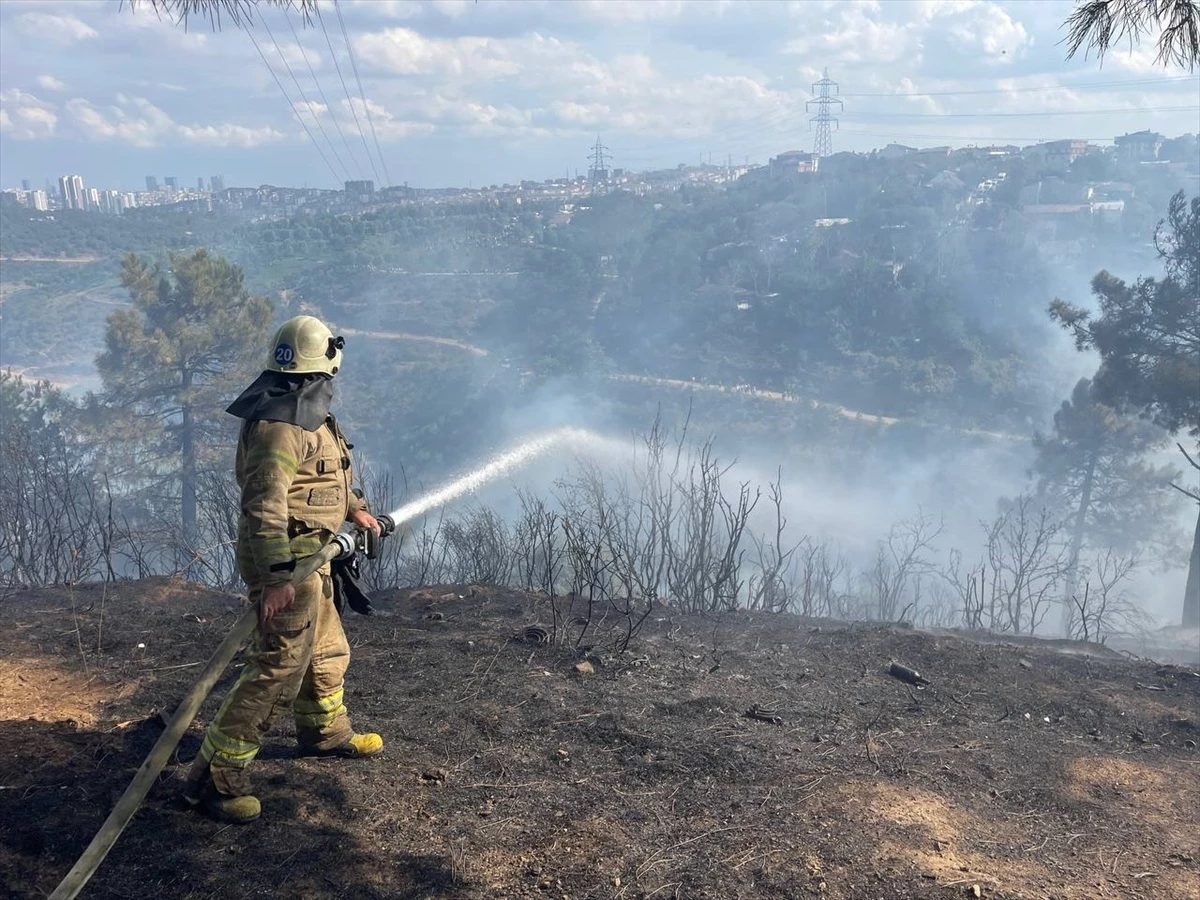 Sultangazi\'deki Hacı Bektaş-ı Veli Kent Ormanı\'nda yangın kontrol altına alındı