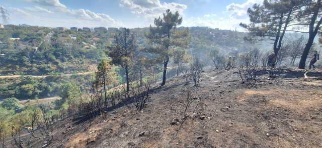 Sultangazi Kent Ormanı'nda Yangın Çıktı, Kundaklama İddiası Sultangazi Kent Ormanı'nda Yangın Çıktı, Kundaklama İddiası