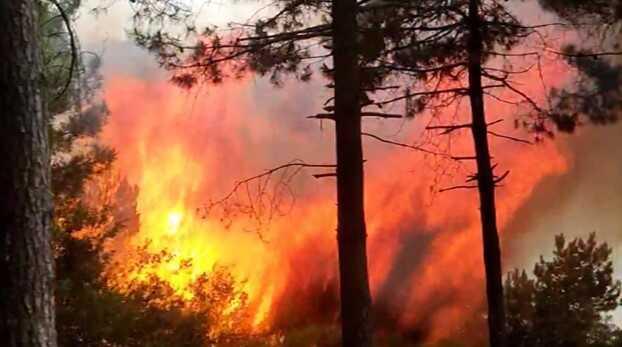 Sultangazi Kent Ormanı'nda Yangın Çıktı, Kundaklama İddiası Sultangazi Kent Ormanı'nda Yangın Çıktı, Kundaklama İddiası