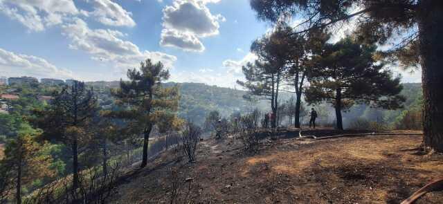 Sultangazi Kent Ormanı'nda Yangın Çıktı, Kundaklama İddiası Sultangazi Kent Ormanı'nda Yangın Çıktı, Kundaklama İddiası
