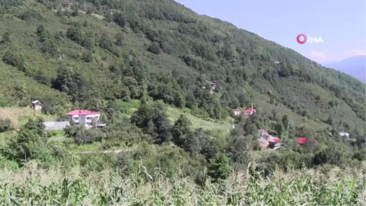 24 yaşındaki 19 kez şampiyon olan boğa yoğun ilgi görüyor