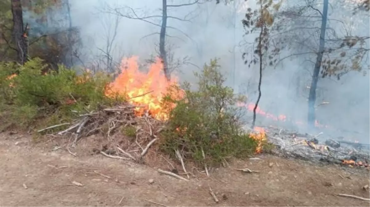 Kozan'da Orman Yangını Kontrol Altına Alındı