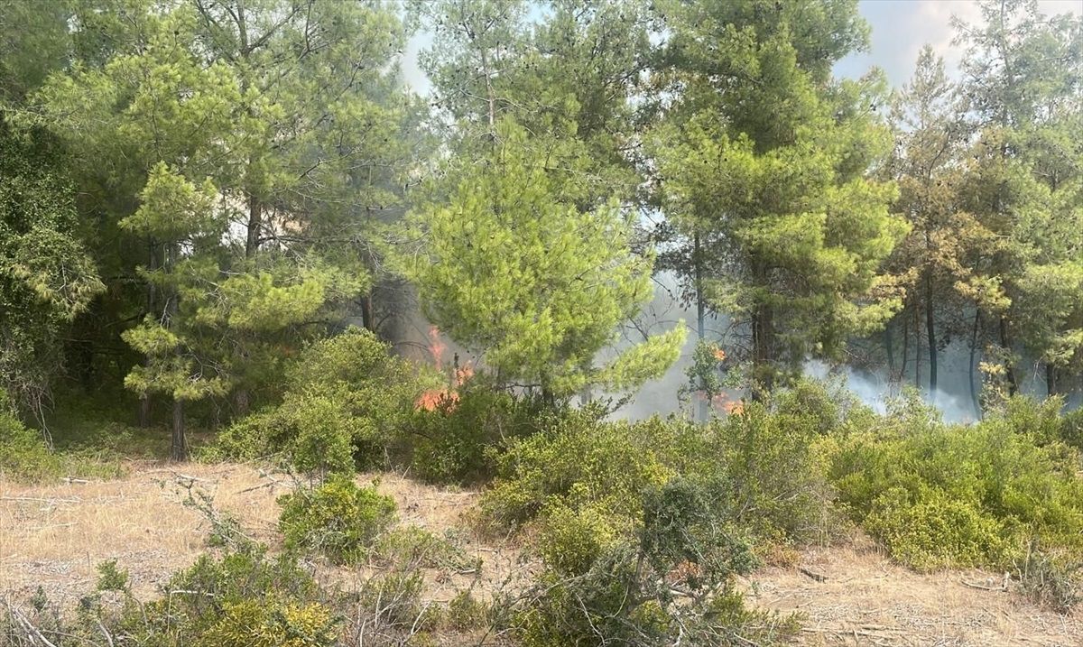 Adana\'da çıkan orman yangını söndürüldü