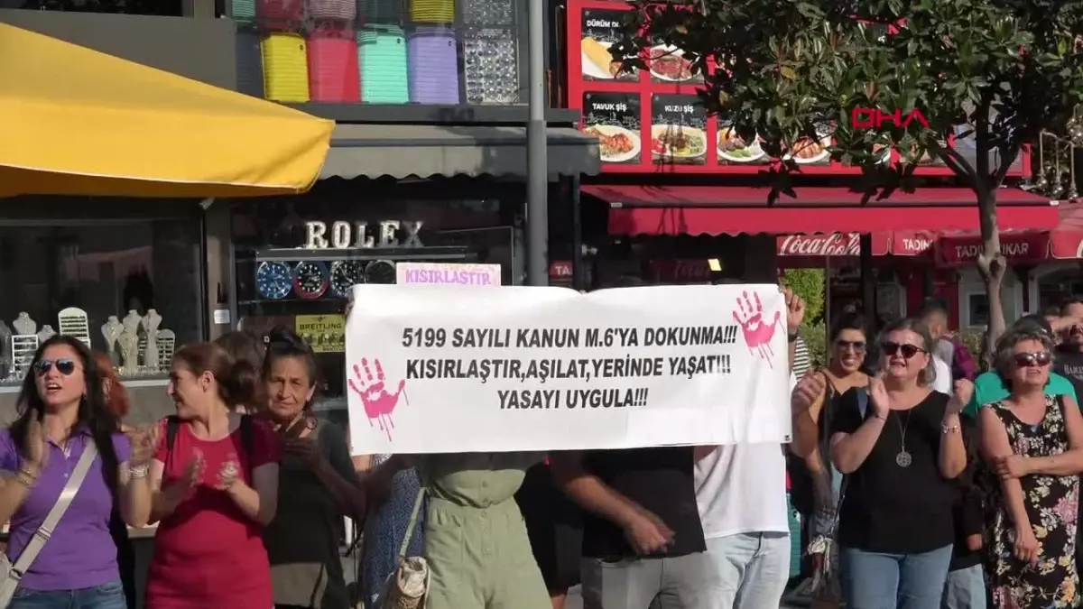 Hayvanseverlerden belediyelere tepki: Hayvanlar kötü şartlarda yaşıyor