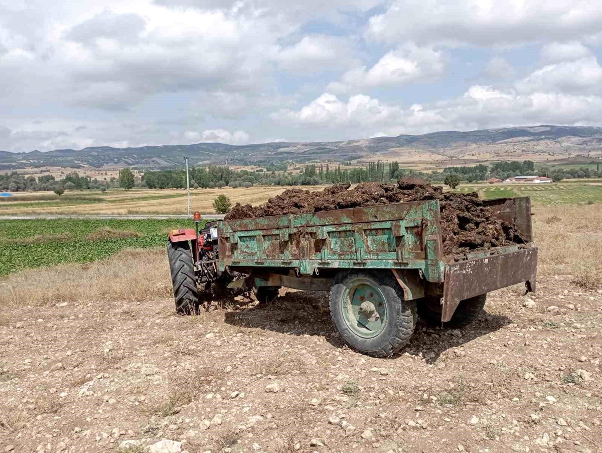 Tokat\'ta traktör kazası: Vatandaş yaralandı