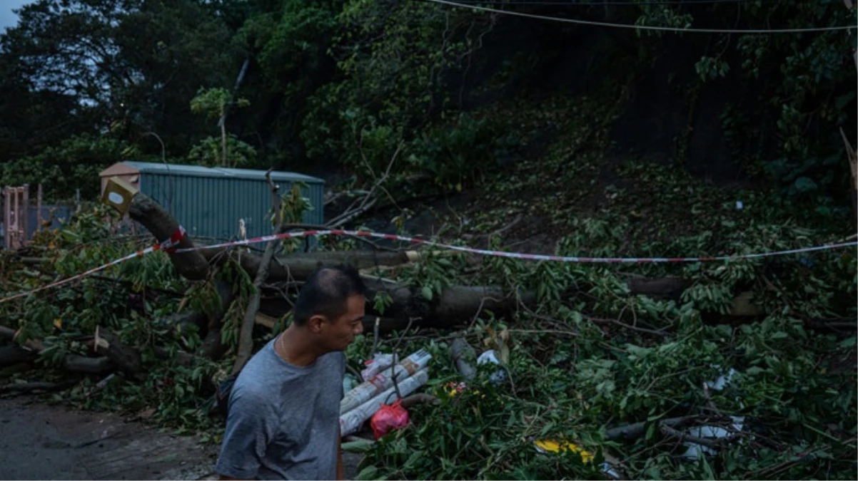 Haikui Tayfunu Tayvan\'ı vurdu: 116 kişi yaralandı, 260 bin ev elektriksiz kaldı