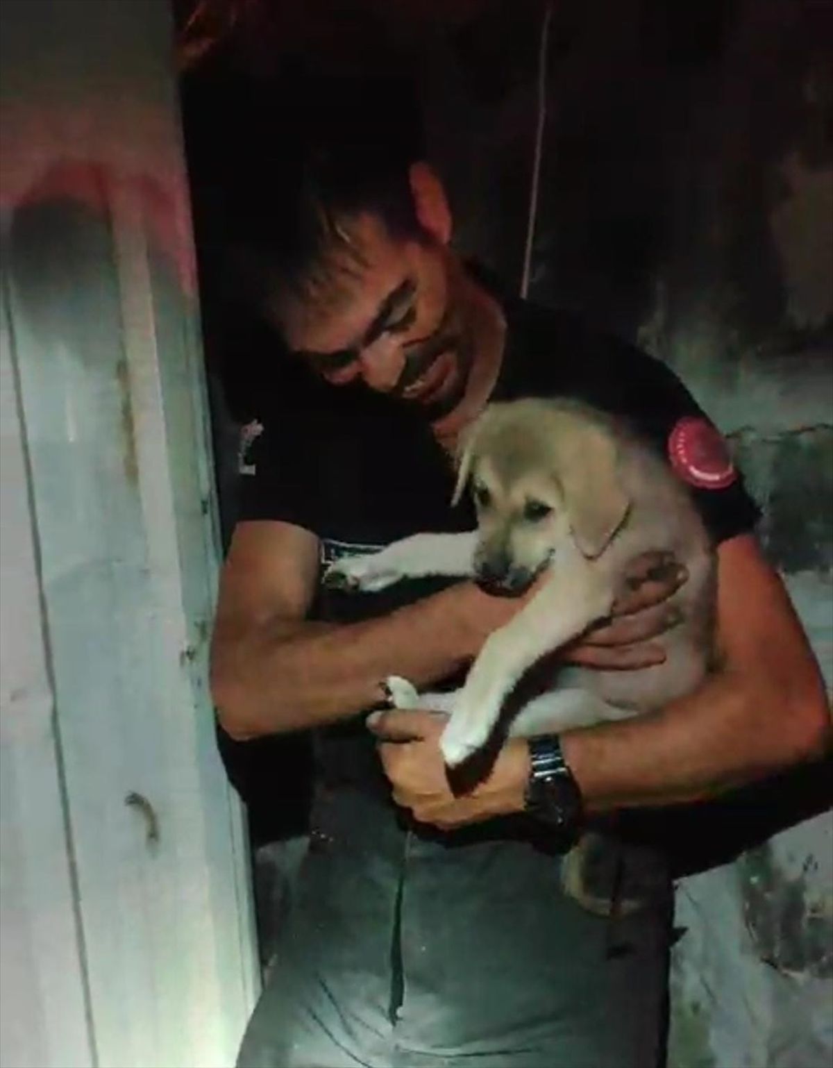 Antakya\'da Sıkışan Köpek Yavrusu İtfaiye Tarafından Kurtarıldı