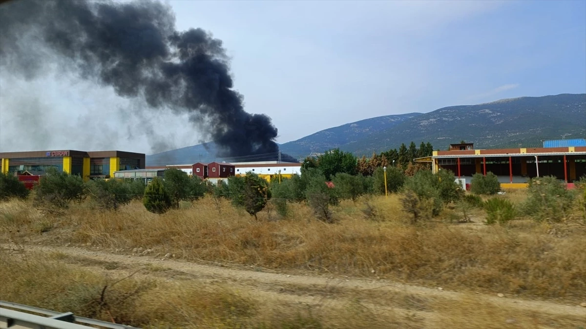 İzmir\'de ahşap palet fabrikasında çıkan yangın kontrol altına alındı