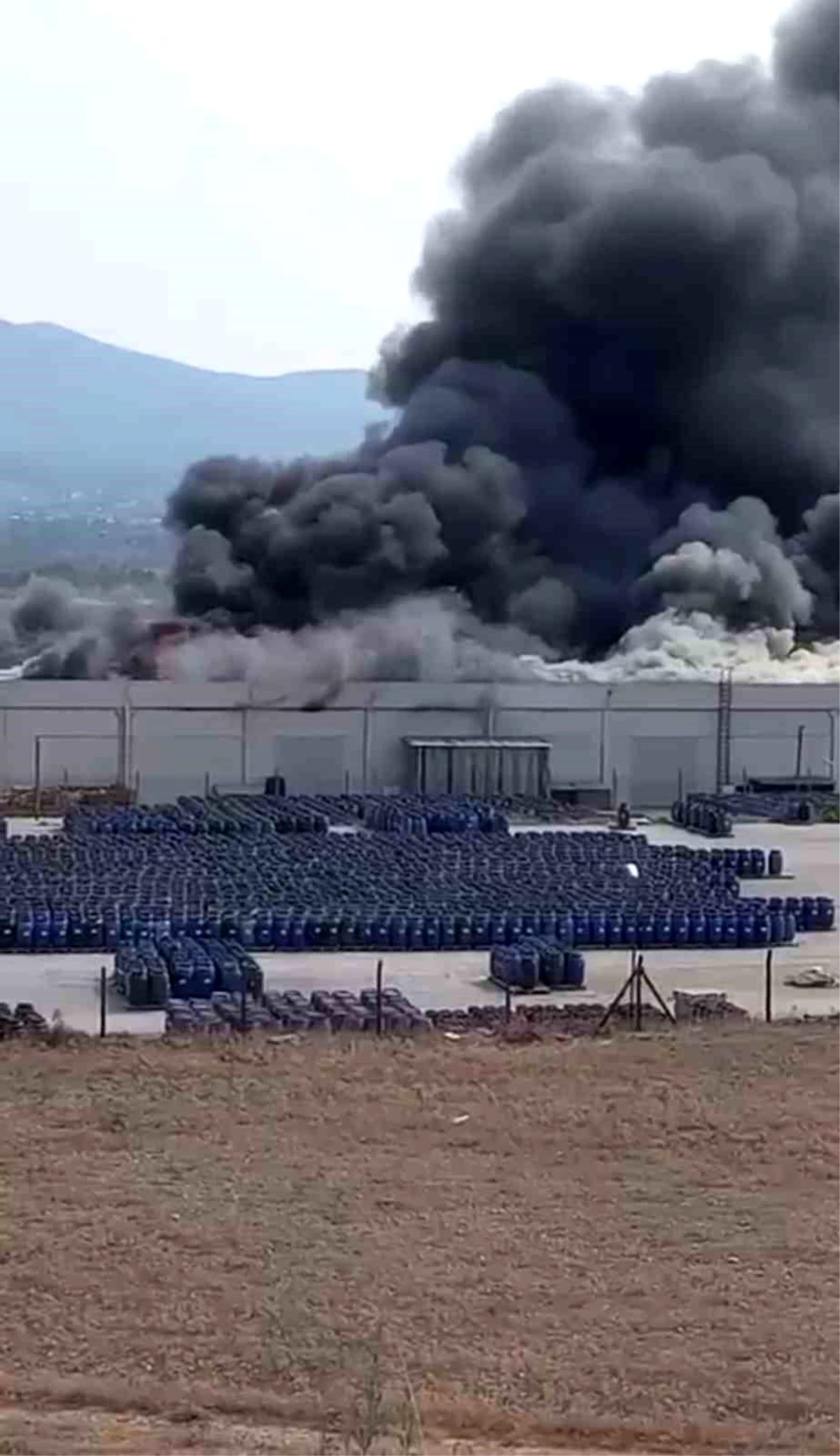 İzmir\'deki palet fabrikasında büyük yangın
