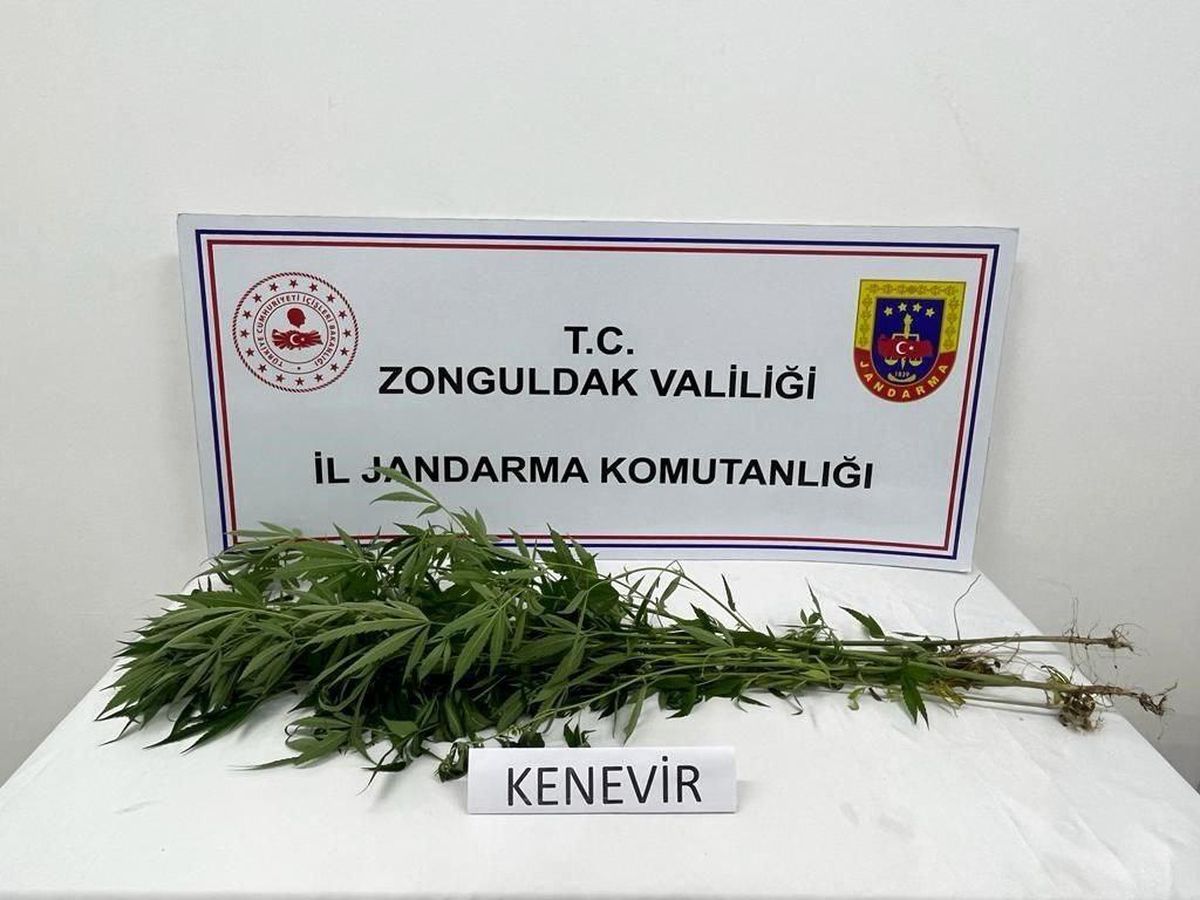 Zonguldak\'ta Bir Evde 9 Kök Kenevir Ele Geçirildi