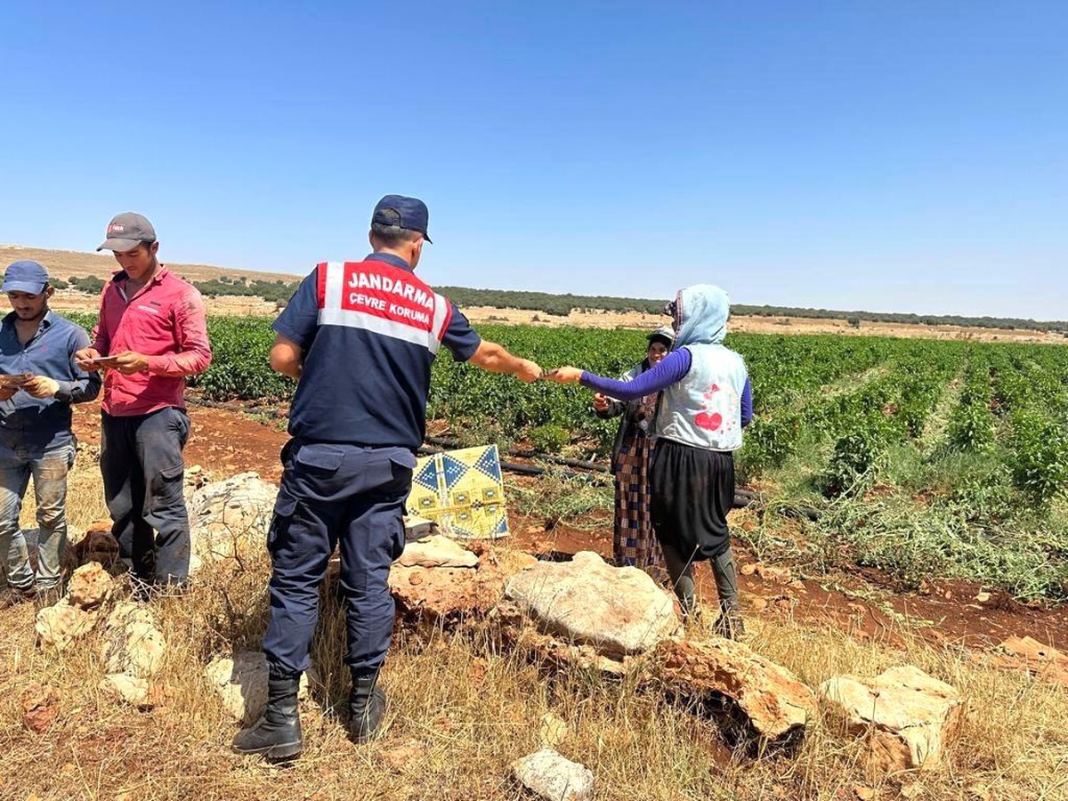 Kilis İl Jandarma Komutanlığı Anız Yakma Uyarısı