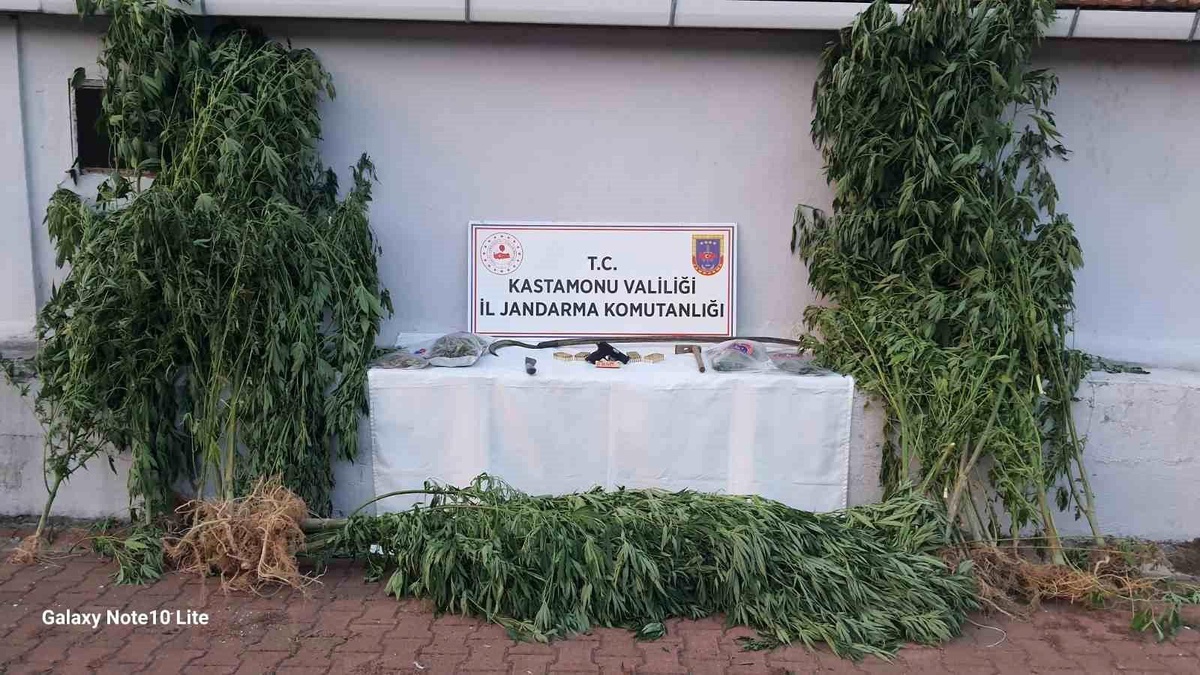 Kastamonu\'da Uyuşturucu Operasyonu: 4 Gözaltı