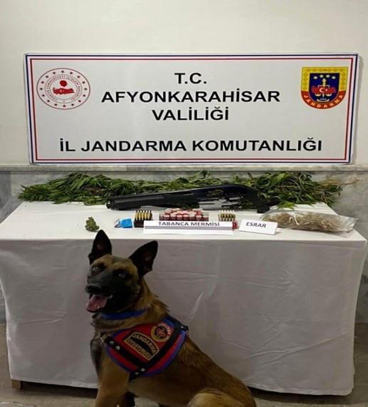 Afyonkarahisar\'da kenevir yetiştiren şahıs yakalandı