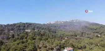 Maltepe Başıbüyük Ormanı'nda çıkan yangın kontrol altına alındı