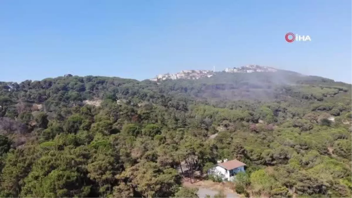 Maltepe Başıbüyük Ormanı'nda çıkan yangın kontrol altına alındı