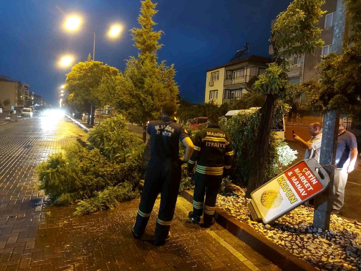 Manisa\'da fırtına ağaçları devirdi