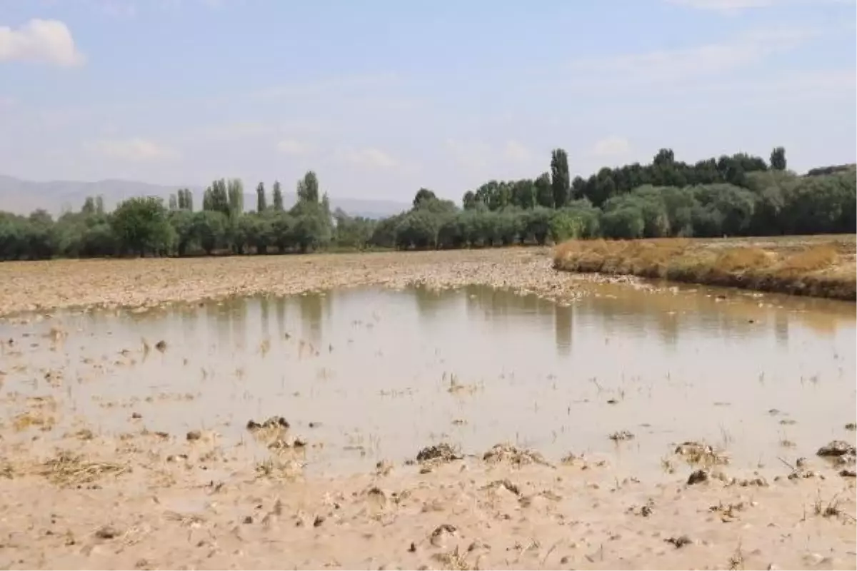 Nevşehir\'de Sel Felaketi: Ekili Alanlarda Hasar Tespit Çalışmaları Başladı