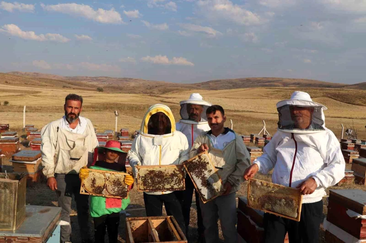 Sivas Tarım ve Orman Müdürü bal hasadına katıldı