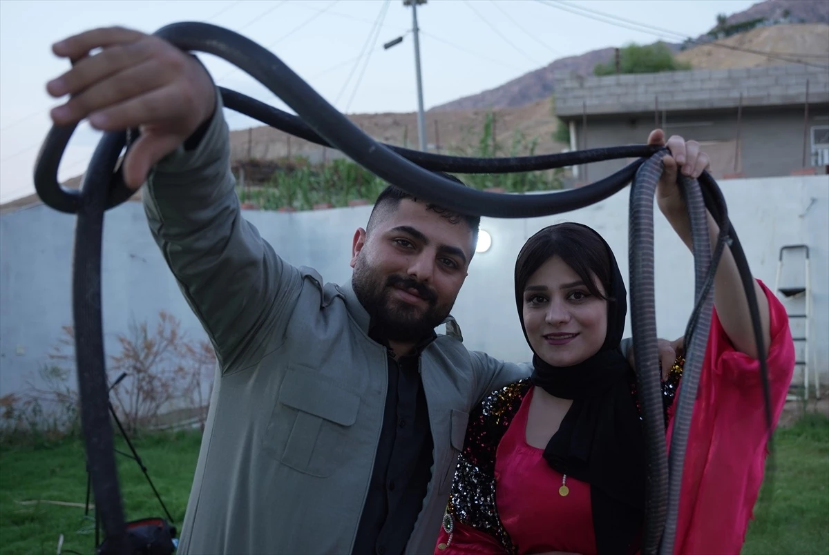 Irak\'ta Yılan Bakıcılığı Yapan Çift, Yılan Derisinden Elde Ettikleri Yağlarla Geçimlerini Sağlıyor