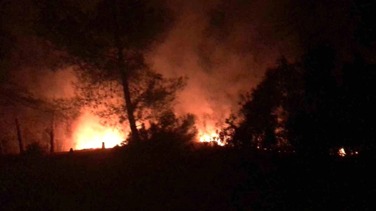 Adana İmamoğlu ilçesinde orman yangını çıktı
