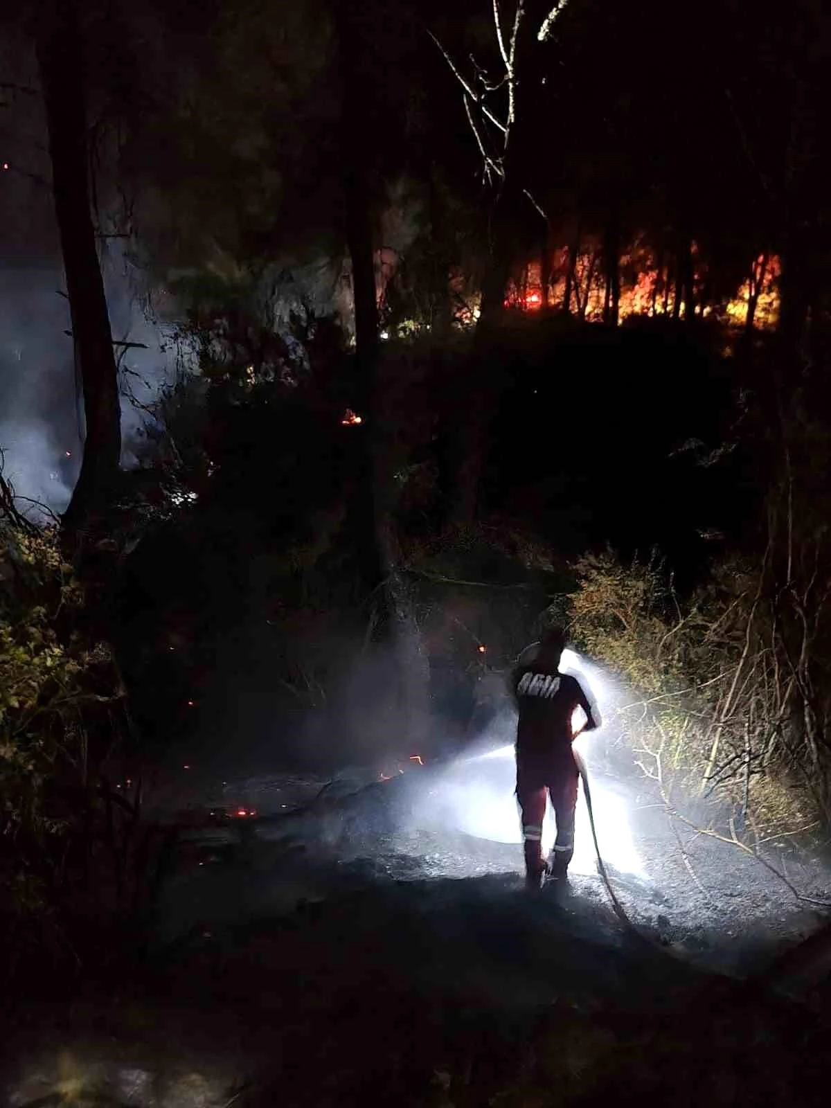 Adana\'da İmamoğlu ilçesinde çıkan orman yangını kısa sürede söndürüldü