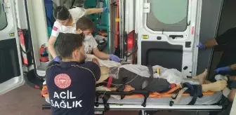 Kocaeli'de Ağaçtan Düşen Kişi Hayatını Kaybetti