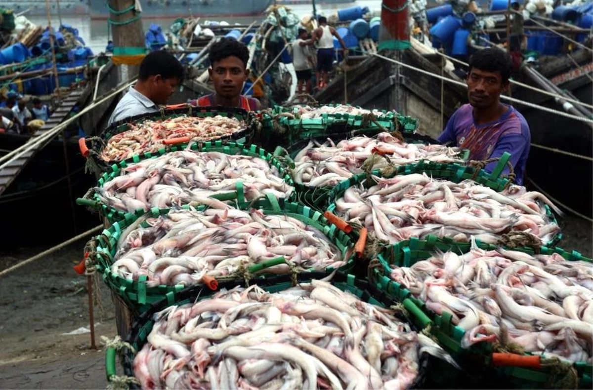 Bangladeşli balıkçılar yeniden avlanmaya başladı