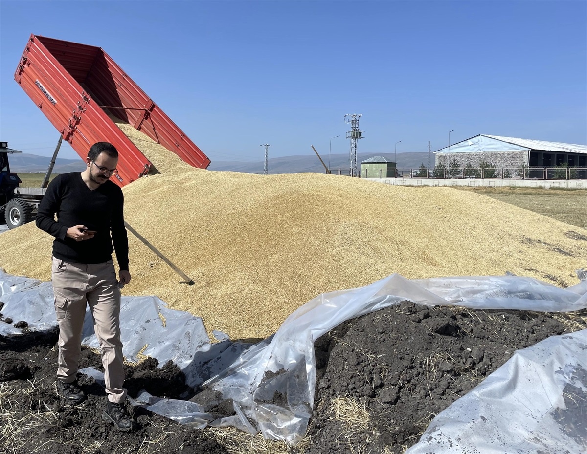 Ardahan\'da Toprak Mahsulleri Ofisi\'nde Hububat Alımı Başladı