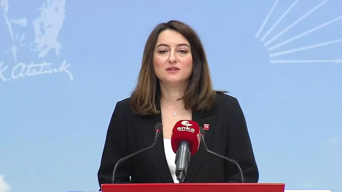 Aysu Bankoğlu: "İkinci Yüzyıl Hedefimiz; Türkiye\'nin Gerçek Bir Demokrasiyle, Akılcı Politikalarla Yönetilen Bir Ekonomiyle ve İleri Teknolojiyle...