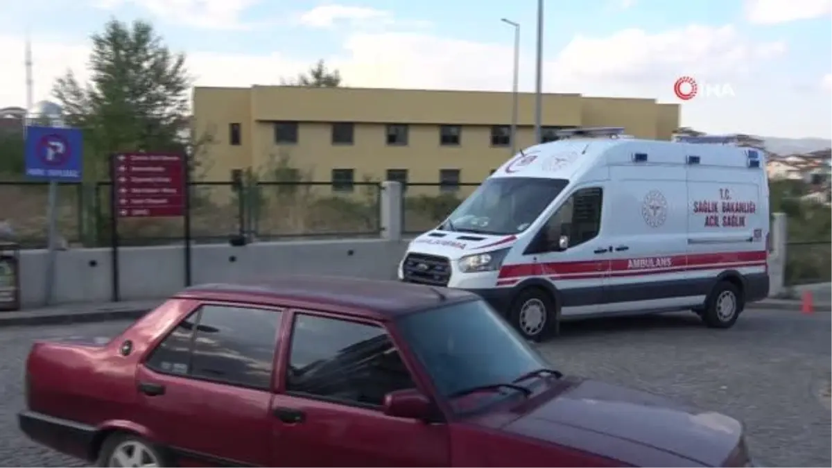 Kastamonu\'da Ayı Saldırısından Köpekler Sayesinde Kurtulan Vatandaş Ağır Yaralandı