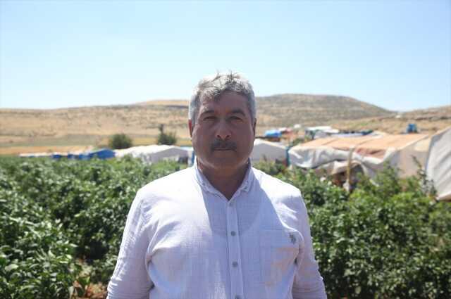 Kahramanmaraşlı çiftçi jalapeno biberiyle 40 ülkeye ihracat yapıyor