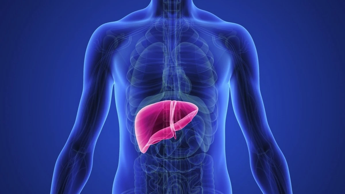 Karaciğer yağlanması neden olur? Karaciğer yağlanması belirtileri neler? Karaciğer yağlanması nasıl geçer?