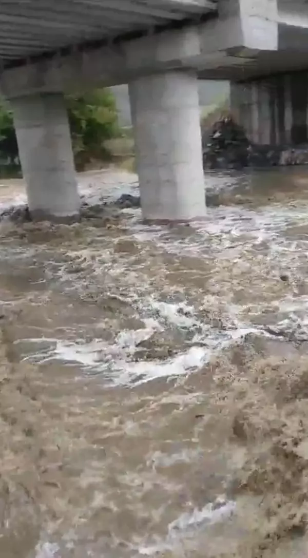 Kırklareli'nde kuvvetli yağış sonucu dereler taştı