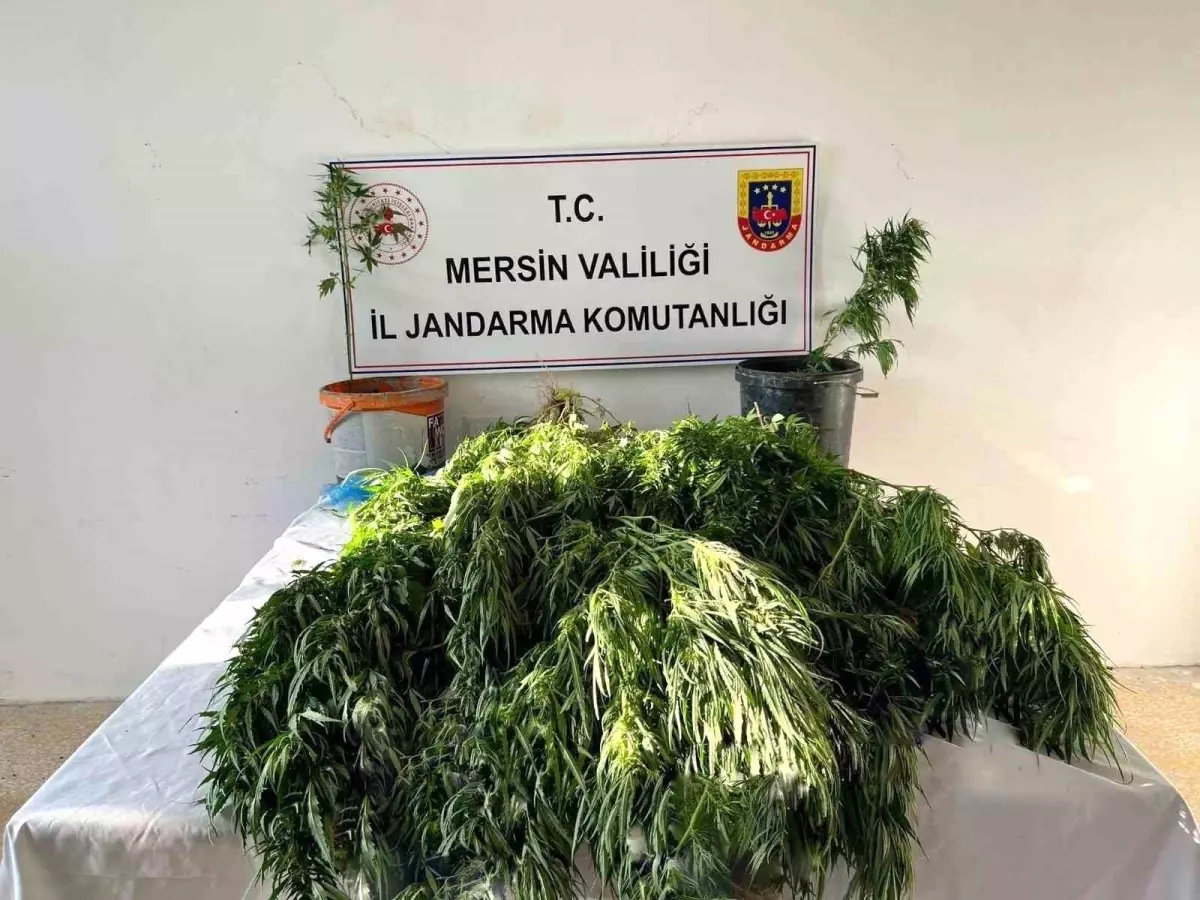 Mersin\'de Uyuşturucu Operasyonu: 3 Şüpheli Gözaltına Alındı