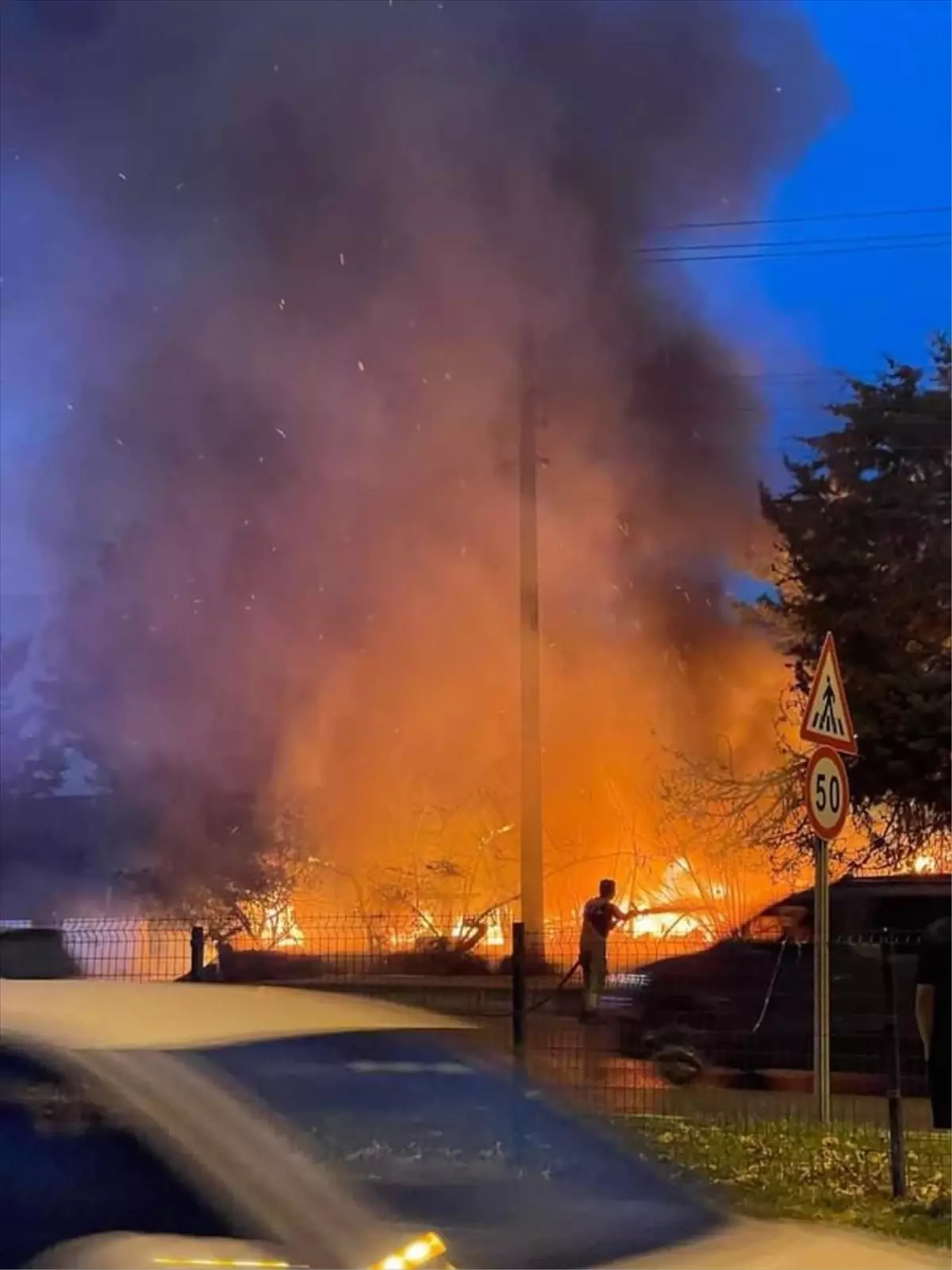 Bursa'nın Mudanya ilçesinde çıkan yangın söndürüldü