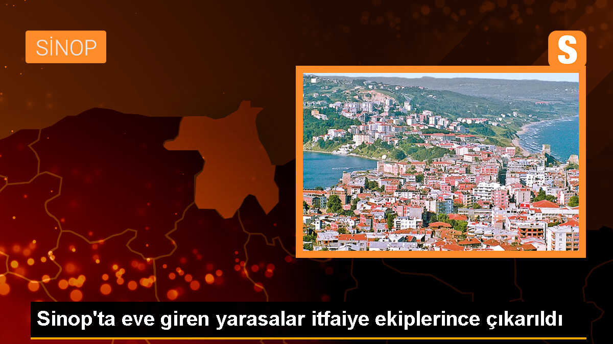 Sinop\'ta eve giren yarasalar itfaiye ekiplerince çıkarıldı
