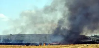 Trakya'da yangınlarda 7 bin 248 dekar tarım alanı zarar gördü