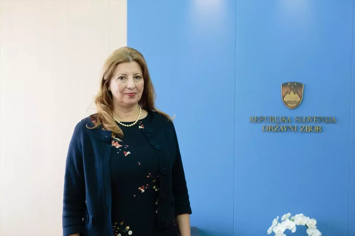 Türkiye\'nin Lübliyana Büyükelçisi Taşhan, Slovenya ile ilişkileri değerlendirdi Açıklaması