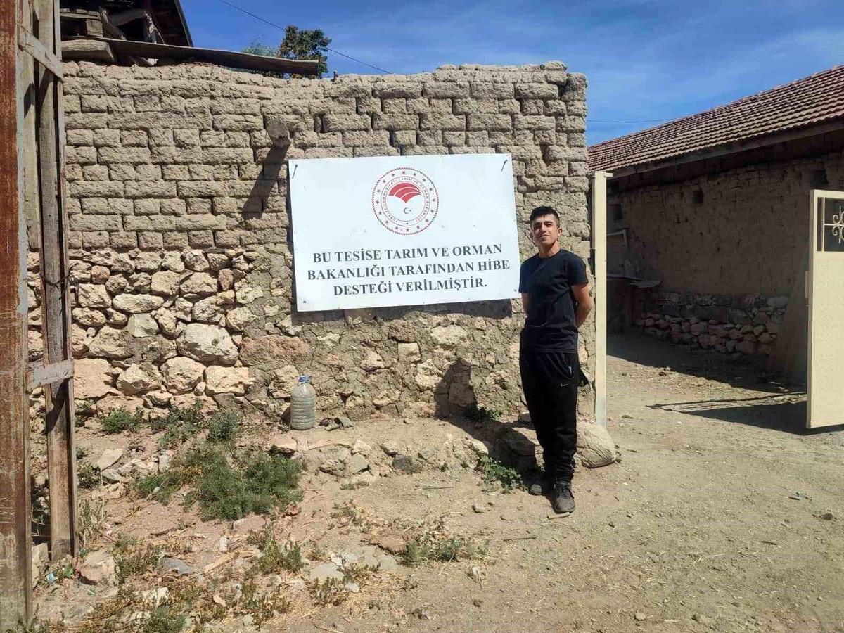Eskişehir\'de Uzman Eller Projesi kapsamında hayvanlar girişimcilere teslim edildi