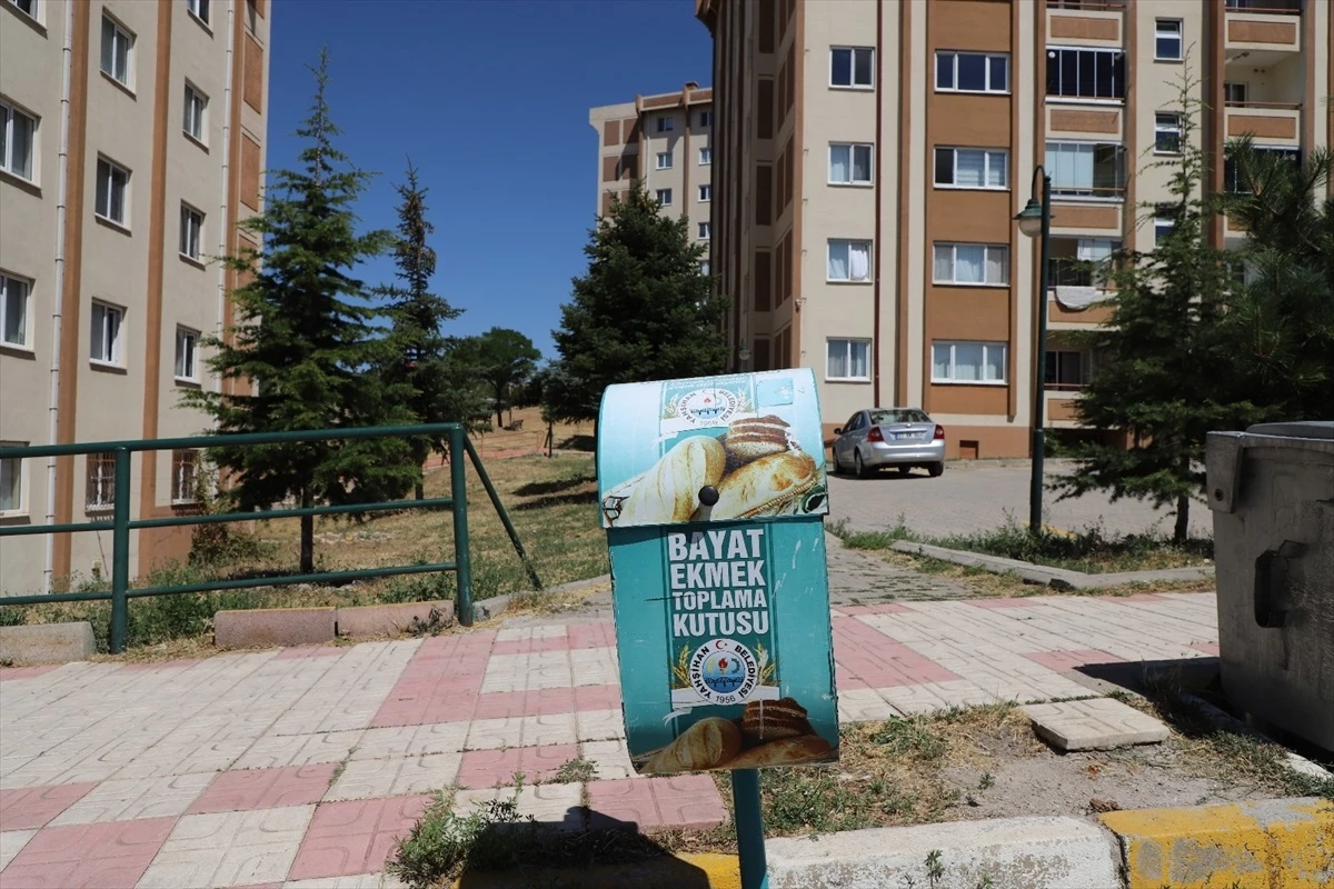 Yahşihan Belediyesi Bayat Ekmekleri Sokak Hayvanlarına Ulaştırıyor