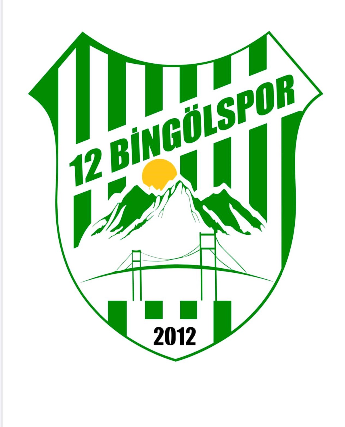 Ziraat Türkiye Kupası\'ndan çıkarılan 12 Bingölspor\'dan tepki