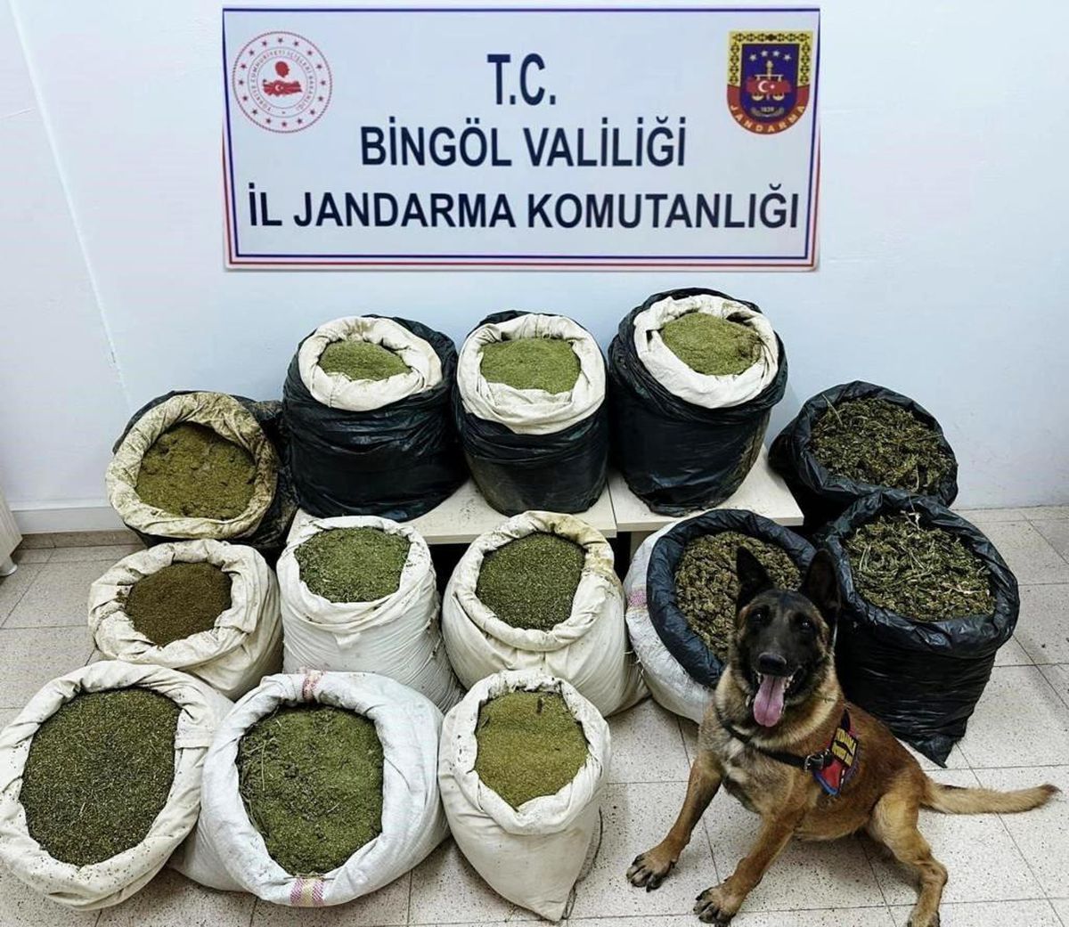 Bingöl\'de 150 Kilo Uyuşturucu Ele Geçirildi