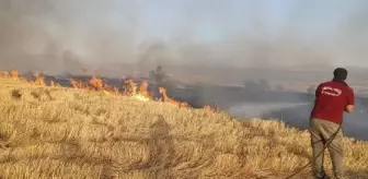 Bingöl'de çıkan örtü yangını kontrol altına alındı
