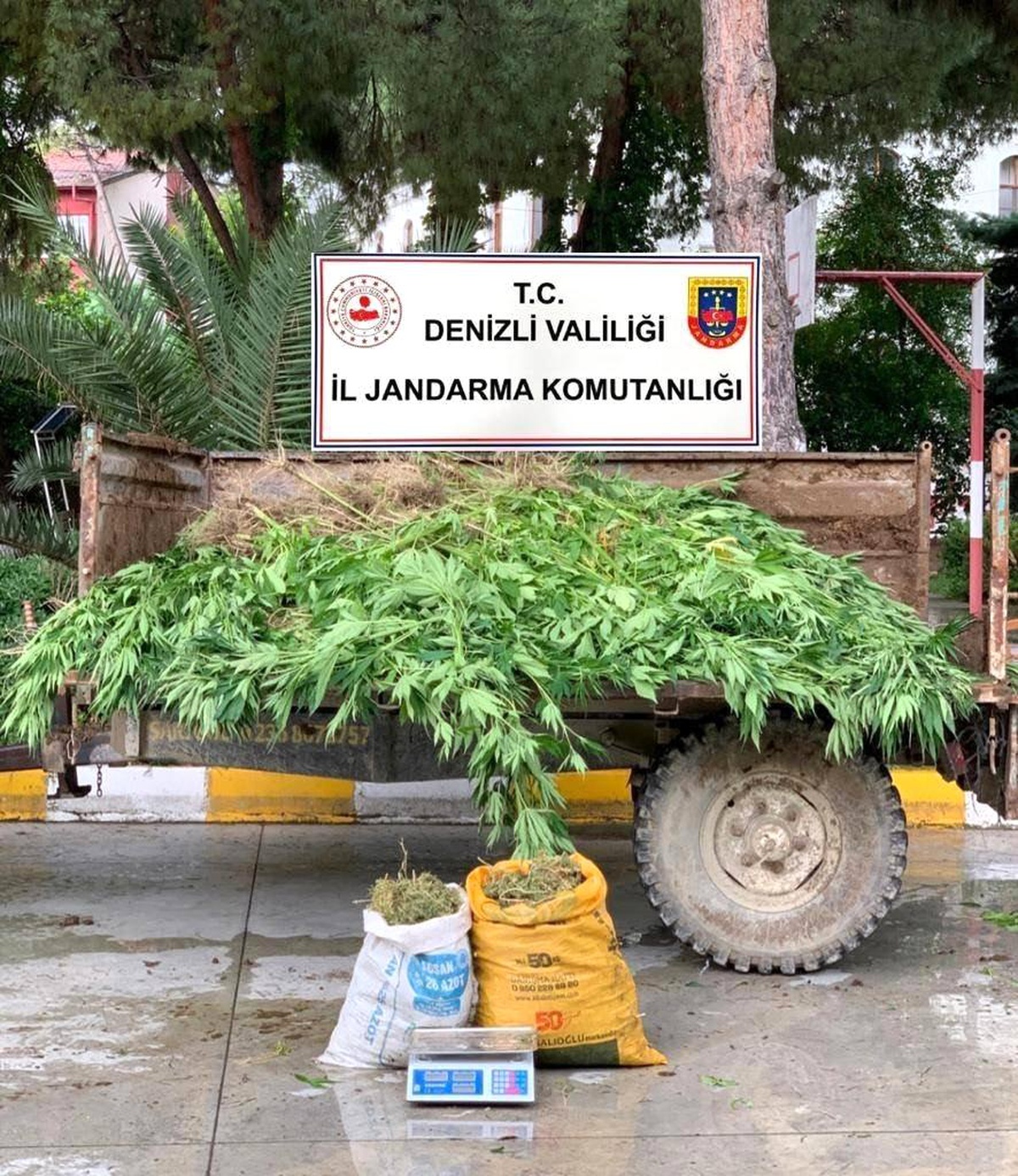 Denizli\'de 72 Kilogram Esrar ve 360 Kök Kenevir Ele Geçirildi